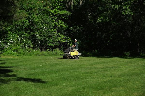 Thrive Lawn & Plant Healthcare