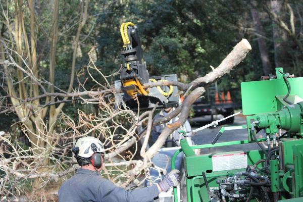 Mac's Tree Services