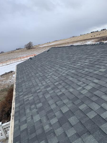 Roof Rescue