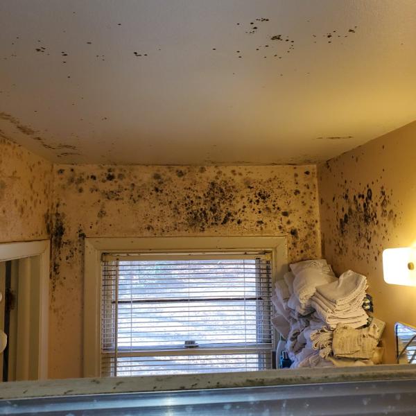 Atlanta Mold and Environmental Testing