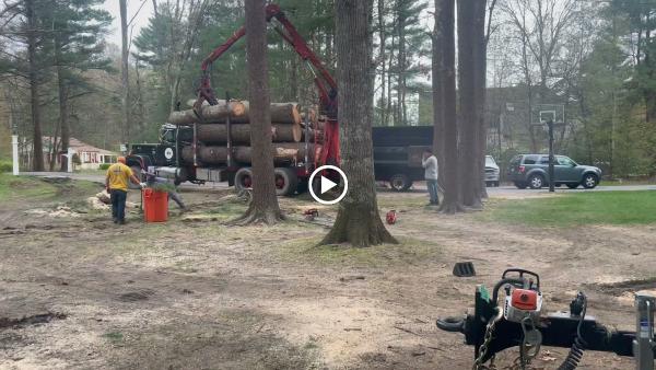 ND Cleaning & Tree Service Inc.