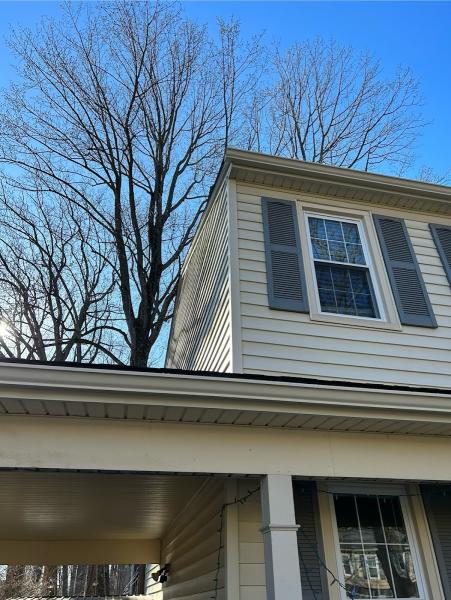 Peak Custom Remodeling