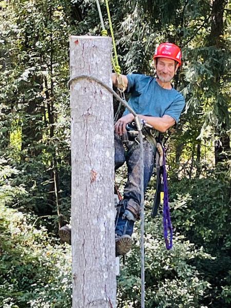 Stellar Tree Care