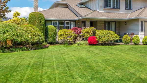 Kelman Landscape LLC