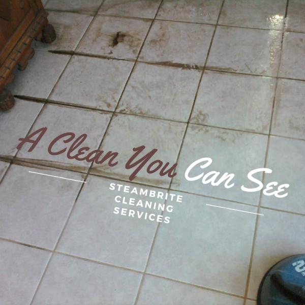 Steambrite Carpet Cleaning Services