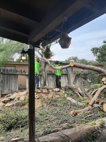 Top Notch Tree Service LLC