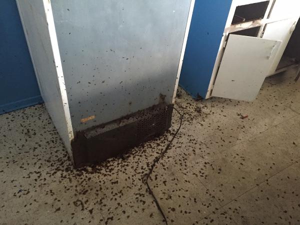 Jacob Termite & Pest Control Inc.