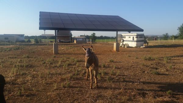 Sunpower by Hooked on Solar