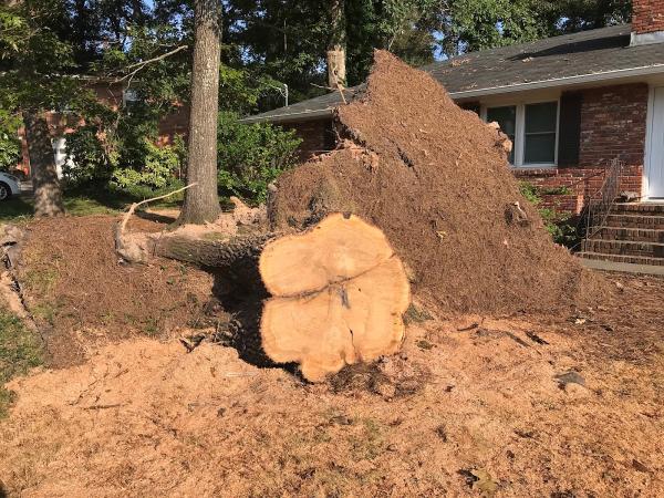 Cobb Stump Grinding