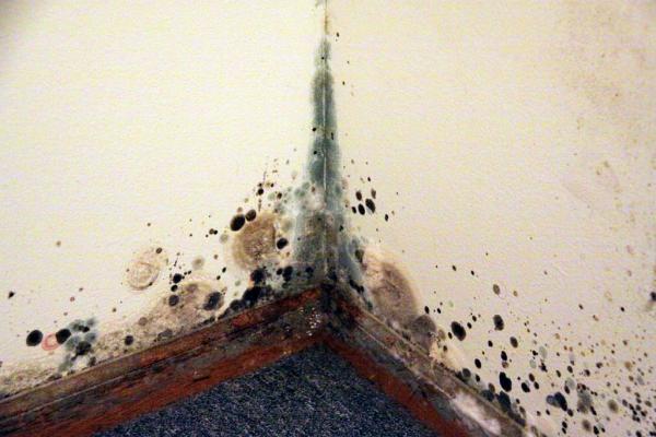Environmental Inspection Services
