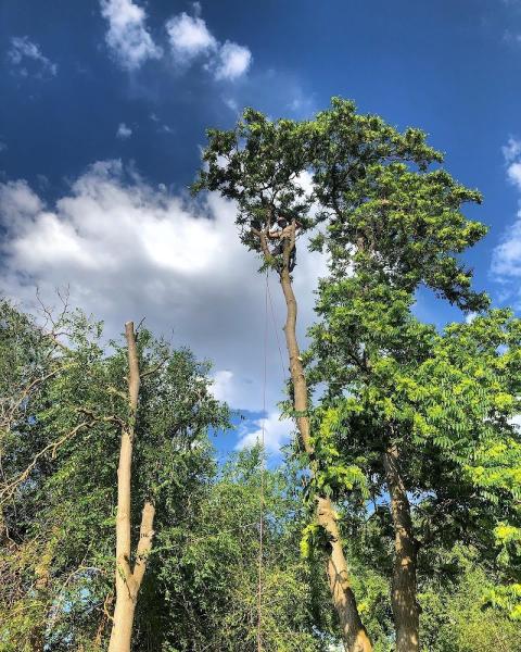 North Fork Tree Service LLC