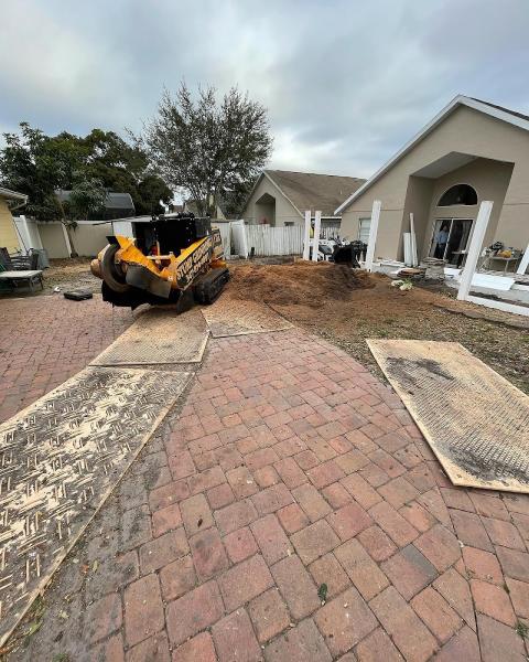 Multiservices LV