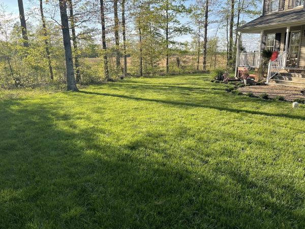 Greener Creations Lawn Care