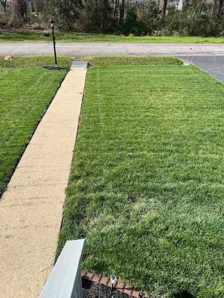 Greener Creations Lawn Care