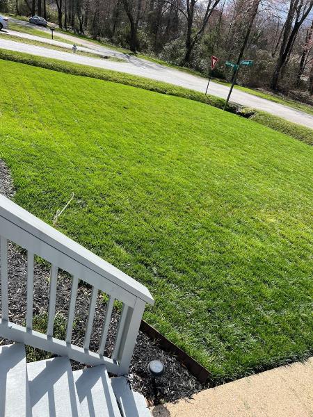 Greener Creations Lawn Care