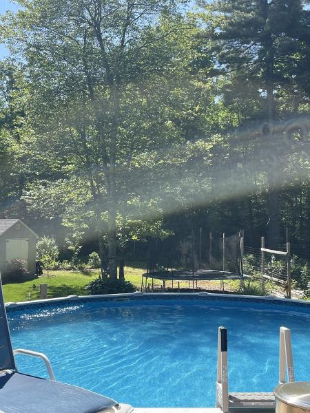 The Pool Pirate