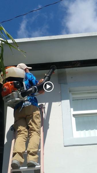 Avay Pest Control