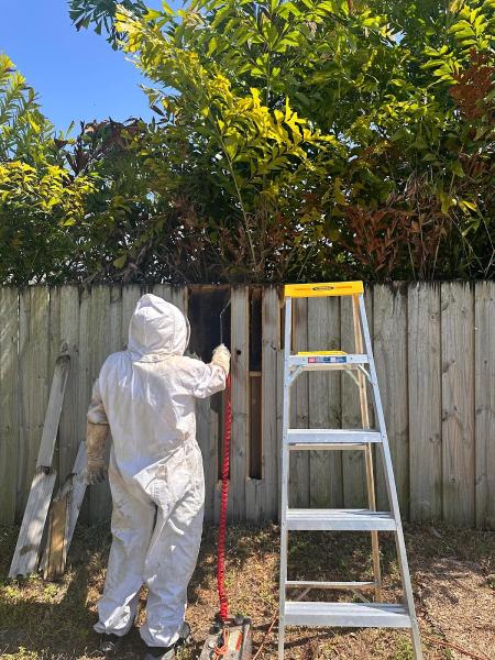 Avay Pest Control