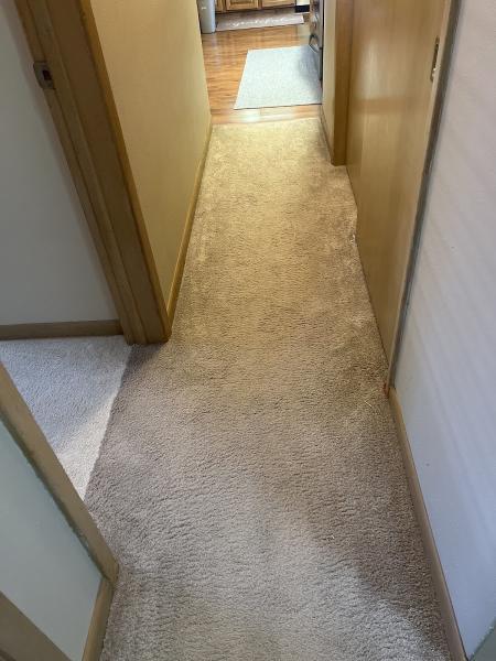 Firehouse Carpet Cleaning