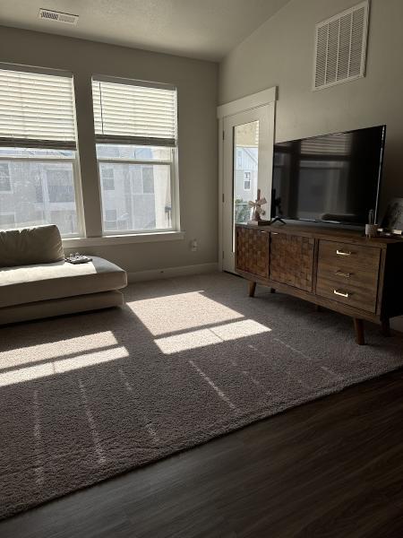 Citrus Carpet Cleaning