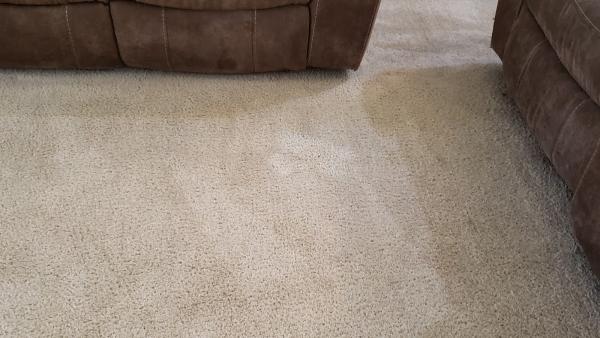 Kleanaway Carpet and Tile Cleaning