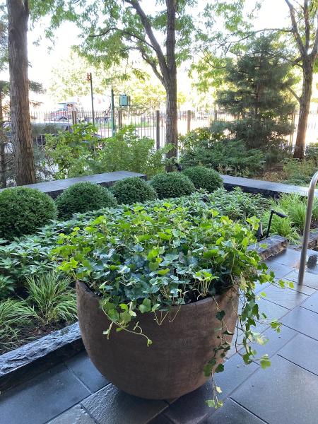 Blue in Green Gardens