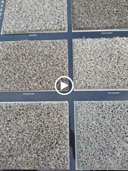 Avon Carpet Cleaning