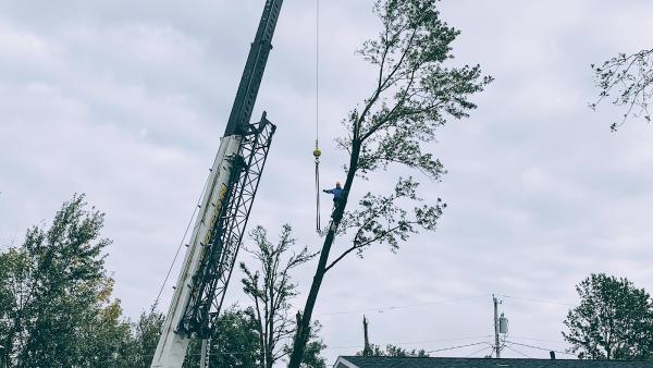 New Horizons Tree and Landscaping