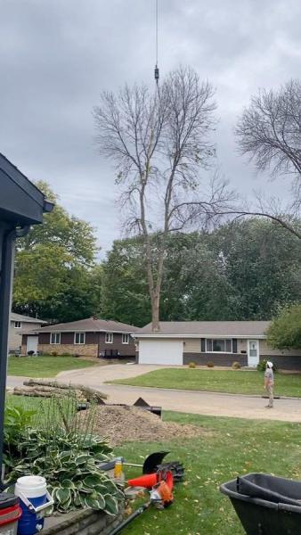 New Horizons Tree and Landscaping