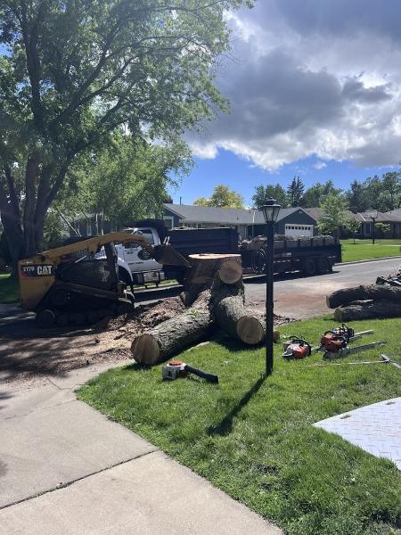 New Horizons Tree and Landscaping