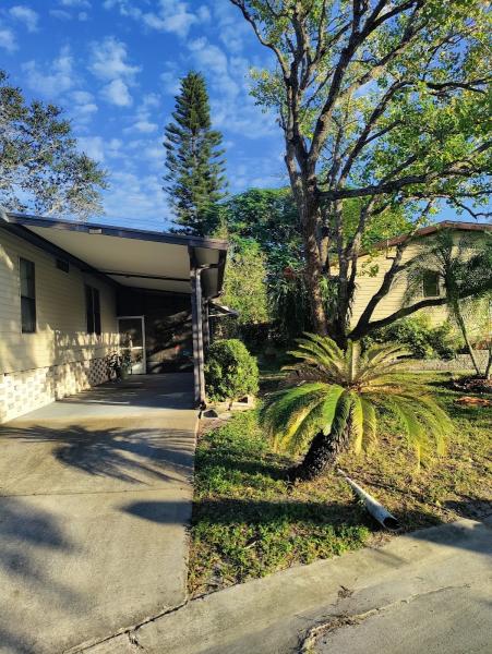 Signature Tree & Home