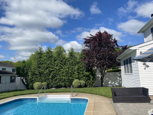 Sanchez Landscaping