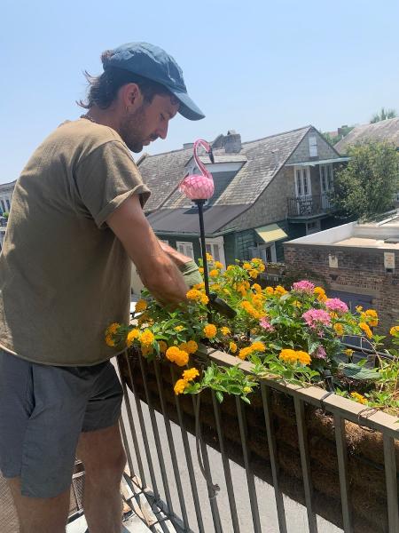 Garden Gaze