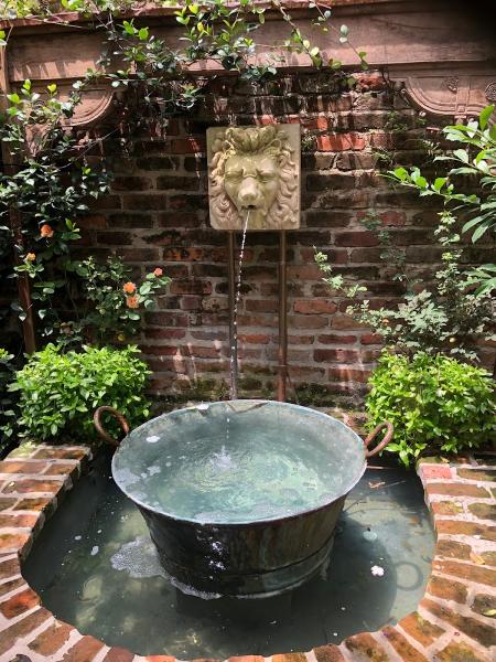 Garden Gaze