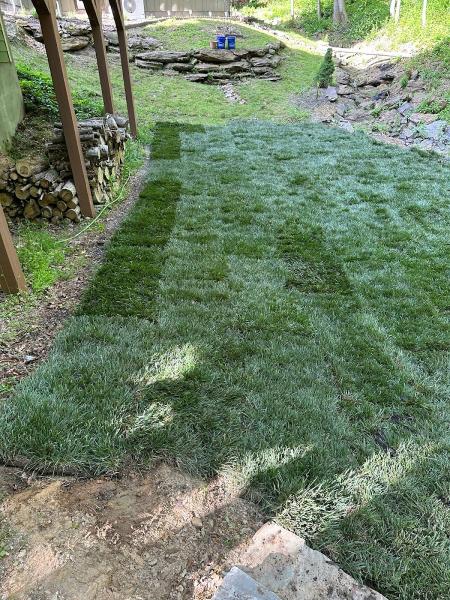 Beam's Lawn & Landscape