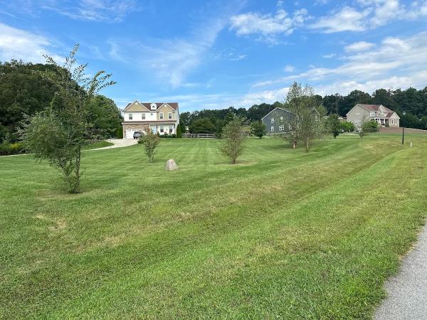 Beam's Lawn & Landscape