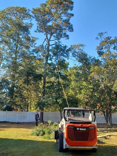 Control Tree Service