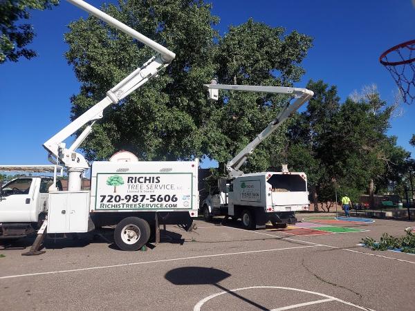 Richis Tree Service