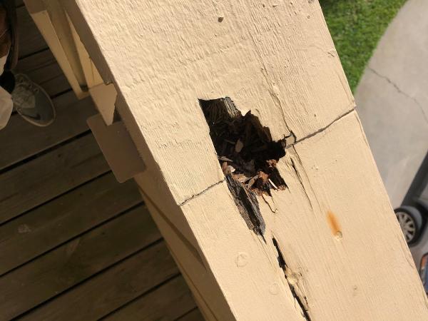 True Home Inspections