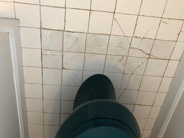 True Home Inspections