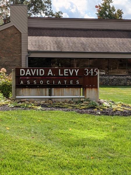 David A Levy & Associates