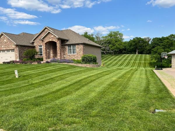 BDE Tree and Lawn