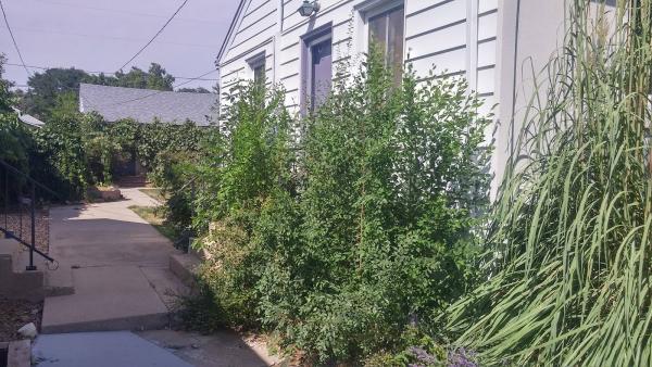 Nick's Landscape Service LLC