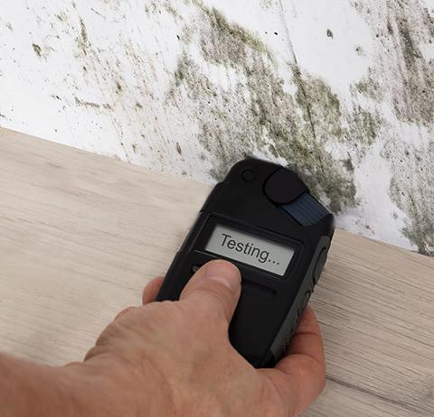 Mold Testing Specialists