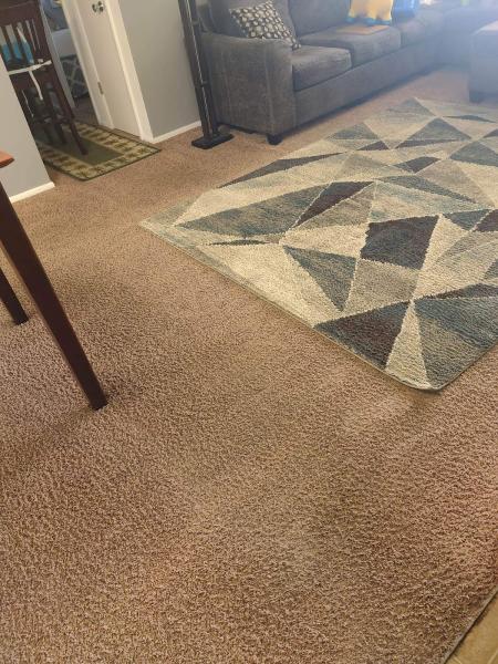 Generations Carpet Cleaning