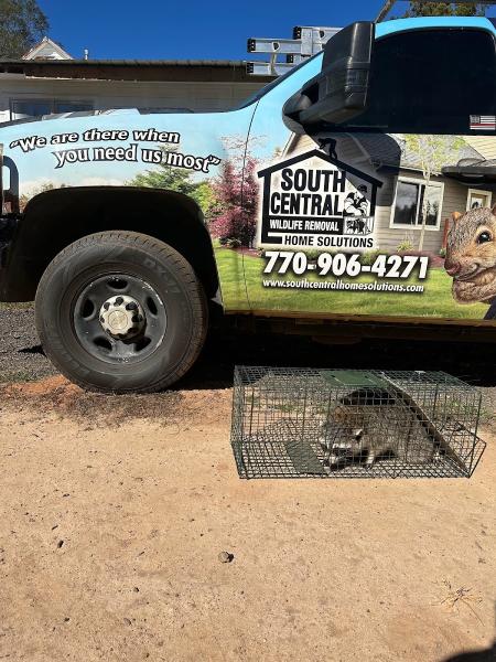 South Central Wildlife Removal & Home Solutions Llc.