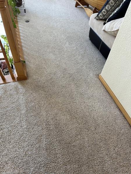 Cleopatra Carpet Care