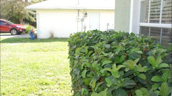 Headley's Lawn Care LLC