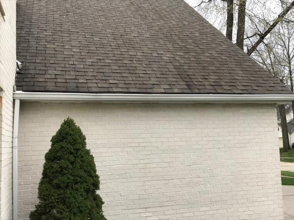 Budget Window Cleaning