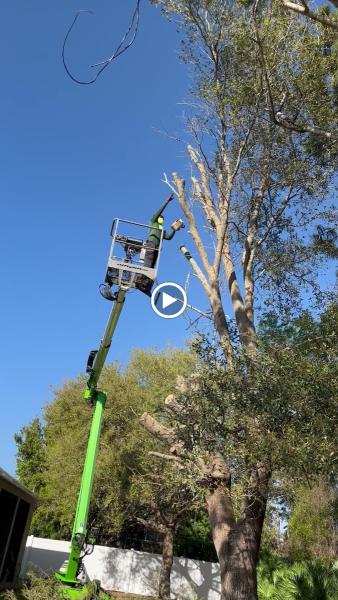 Perez Tree Service